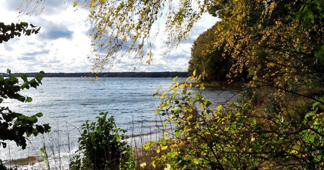 fsp_past19_sjomastra_650